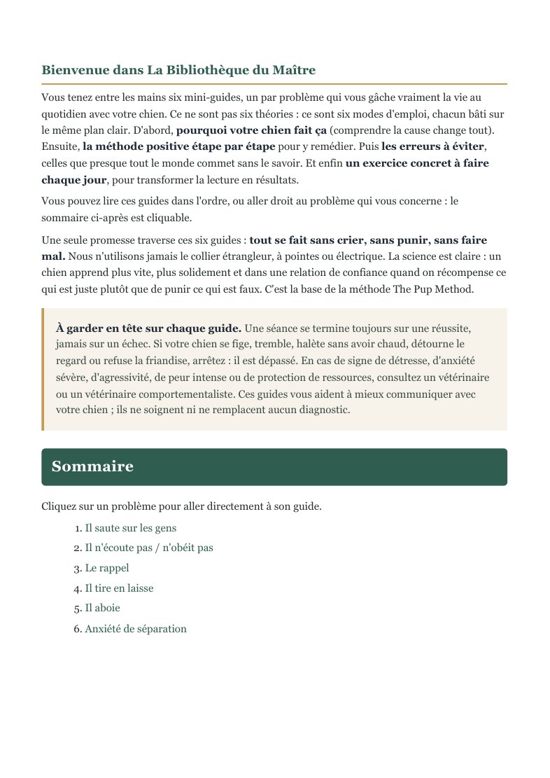 Aperçu réel du sommaire des six guides de La Bibliothèque du Maître