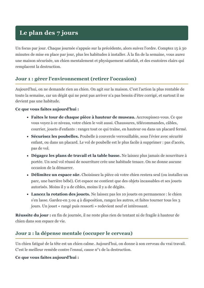 Aperçu réel des premières actions du plan sur 7 jours
