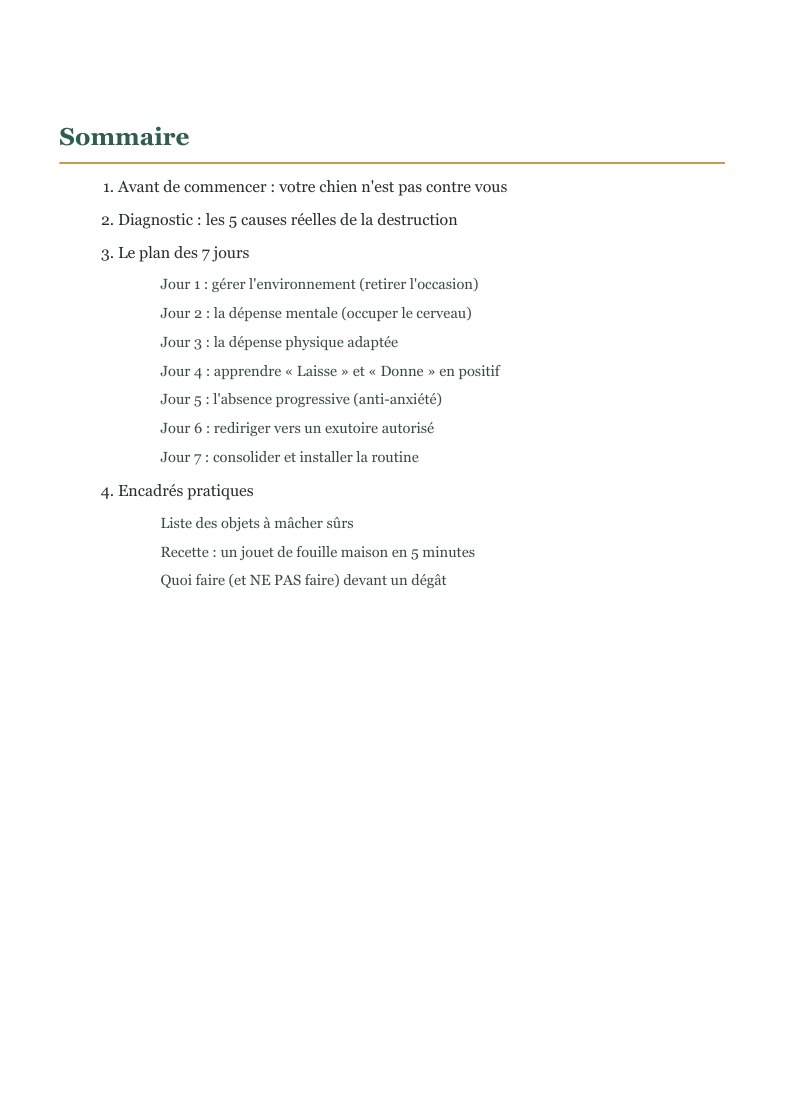 Aperçu réel du sommaire du guide SOS Bêtises