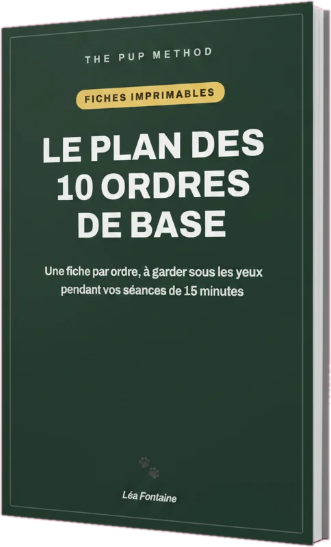 Le Plan des 10 Ordres de Base