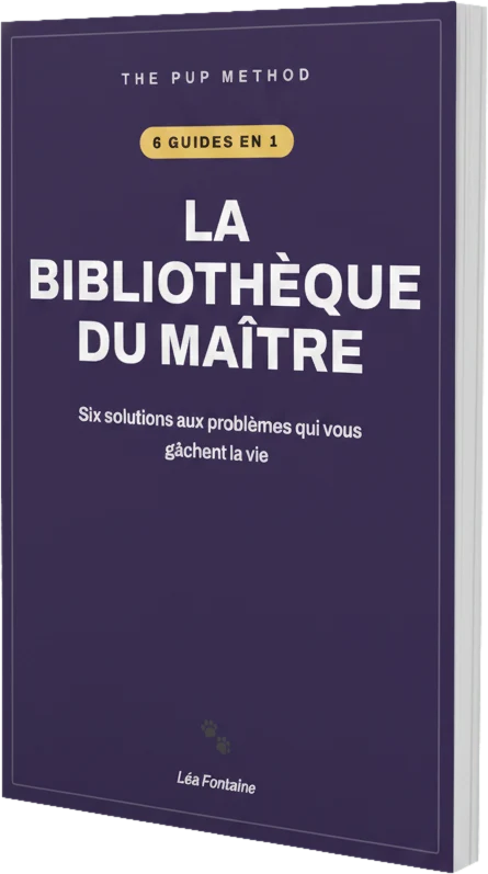 La Bibliothèque du Maître : 6 solutions aux problèmes qui vous gâchent la vie