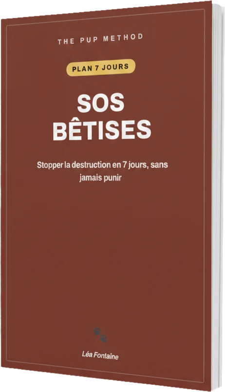 SOS Bêtises : stopper la destruction en 7 jours