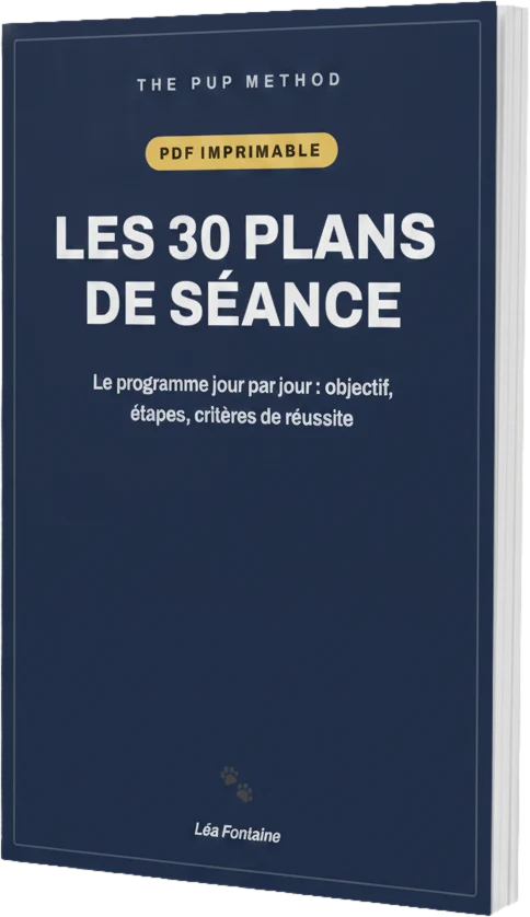 Les 30 Plans de Séance Imprimables